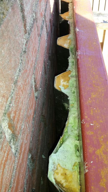 3950_achterwand8_1.jpg