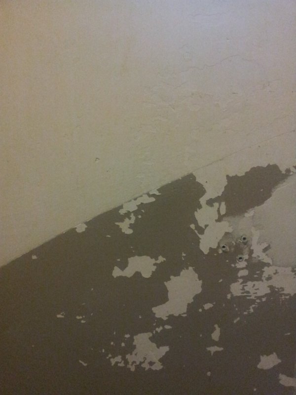 49013_20170404_200629_1.jpg