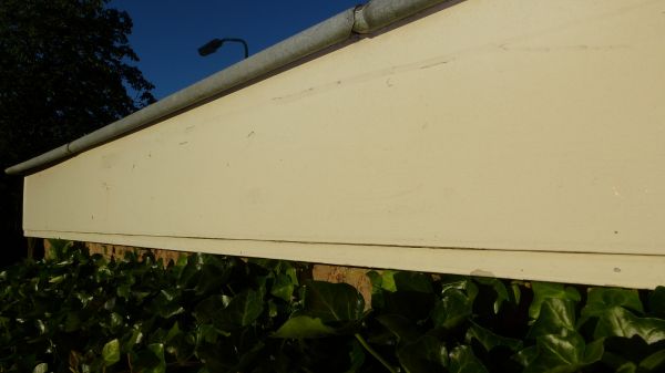 52751_1_1.jpg