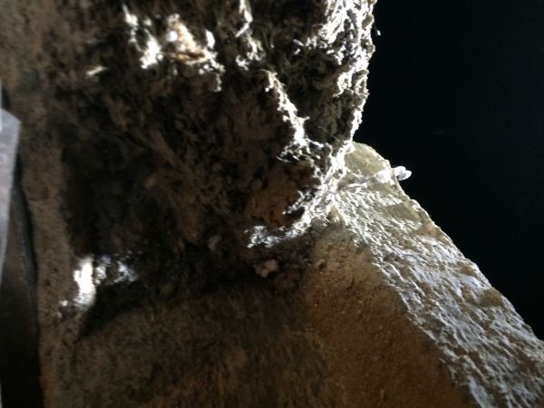 54838_kruipruimte_vooraanzicht_1.jpg