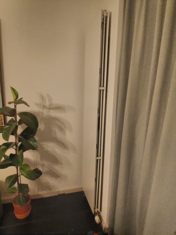 54870_IMG_20190204_183228_HDR_1.jpg