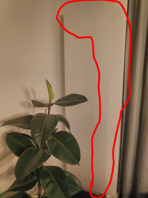 54870_Screenshot_20190204190717_2.jpg