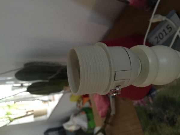 58989_image_1.jpg