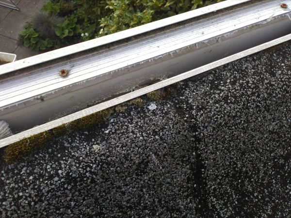 71678_IMG_20160826_200000_1.jpg