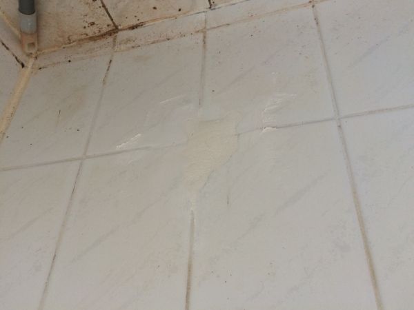 7240_IMG_1436_1.jpg
