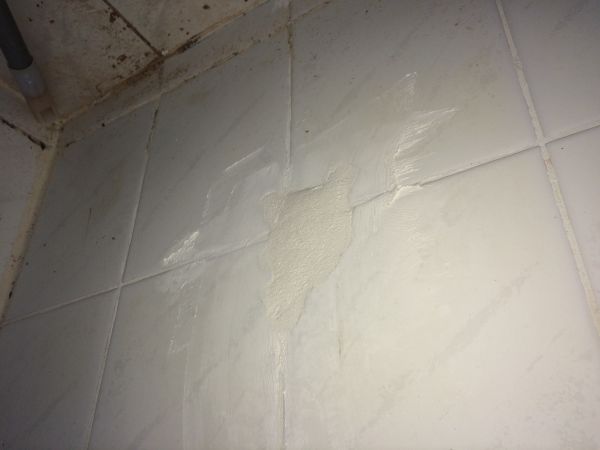 7240_IMG_1437_1.jpg