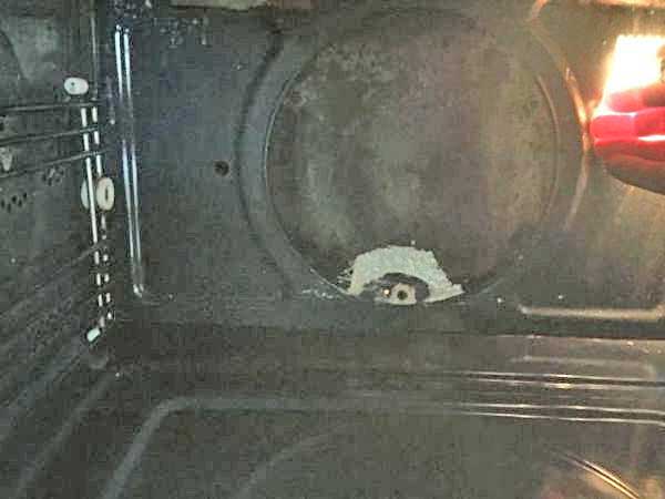 89_6_114481_IMG_8442_1_1_1.jpg