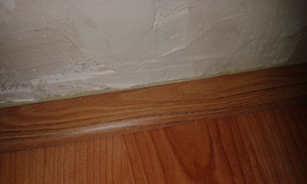 90059_20150124_180539_1.jpg