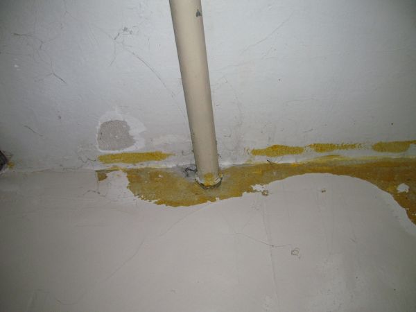 90335_IMG_2565_1.jpg