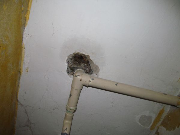 90335_IMG_2566_1.jpg