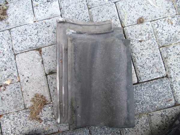 90335_IMG_2978_1.jpg