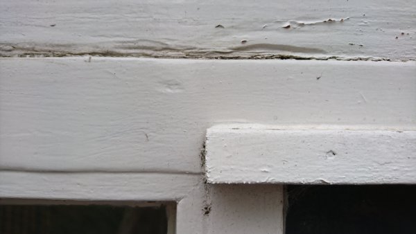 91424_DSC_1335_1.jpg