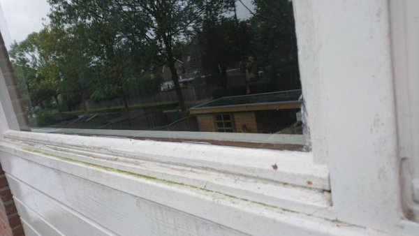 91424_DSC_1335_2.jpg