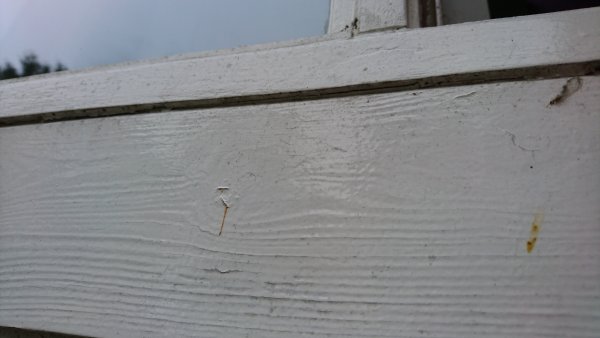 91424_DSC_1337_1.jpg