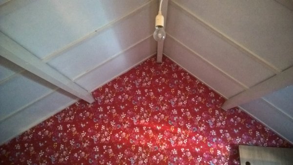 93283_WP_20170807_20_05_13_Pro_1.jpg
