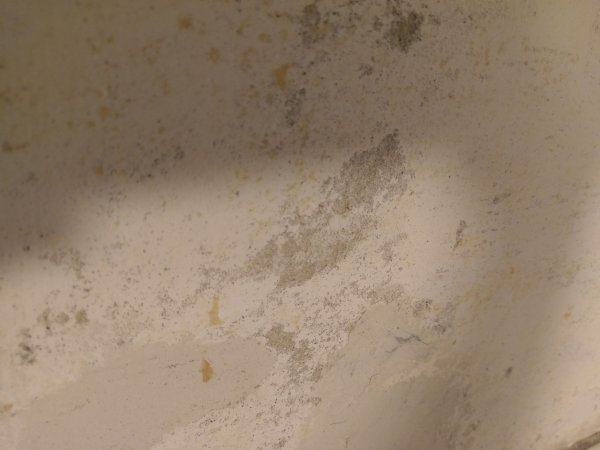 96674_IMAG0872_1.jpg