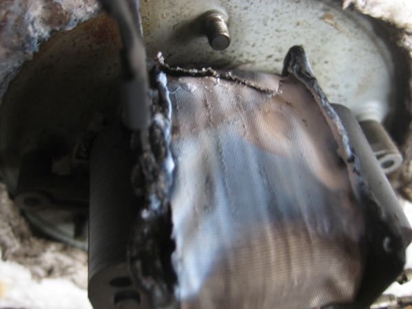 98131_IMG_3594_1.jpg