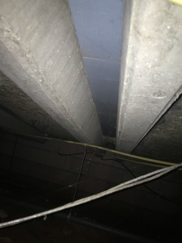 98929_betonvloer_1_1.jpg