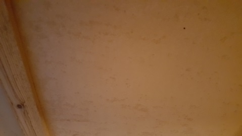 99712_stro_1.jpg