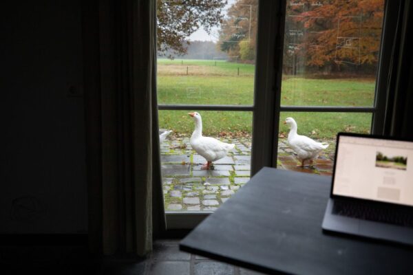 Voordelen van buiten de randstad wonen